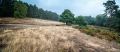 Wahner Heide 052