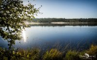 Grundloser See 010