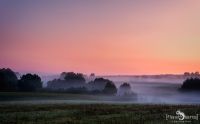 Heide und Totengrund 2017 002