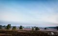 Heide und Totengrund 2017 003