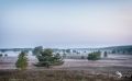 Heide und Totengrund 2017 004