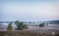 Heide und Totengrund 2017 004