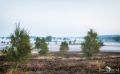 Heide und Totengrund 2017 005