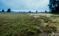 Heide und Totengrund 2017 010