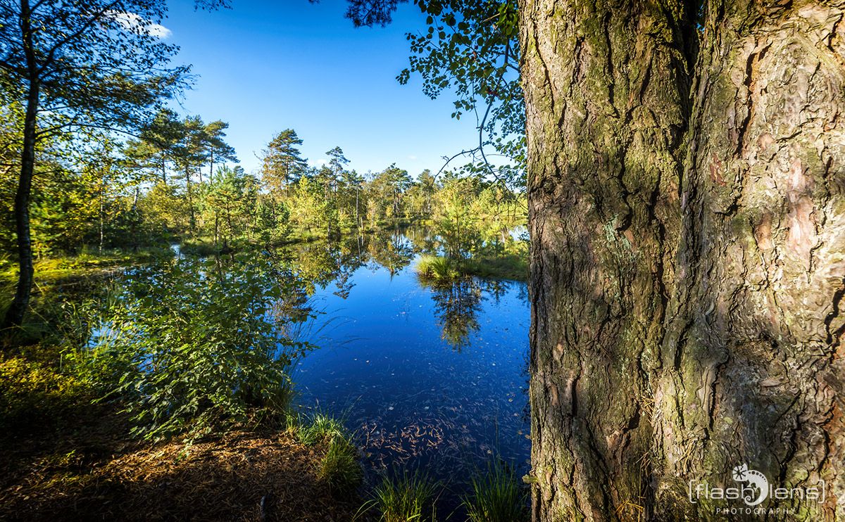 Pietzmoor 013