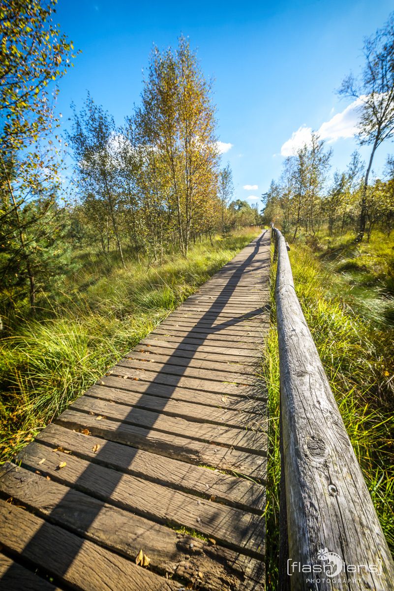 Pietzmoor 018