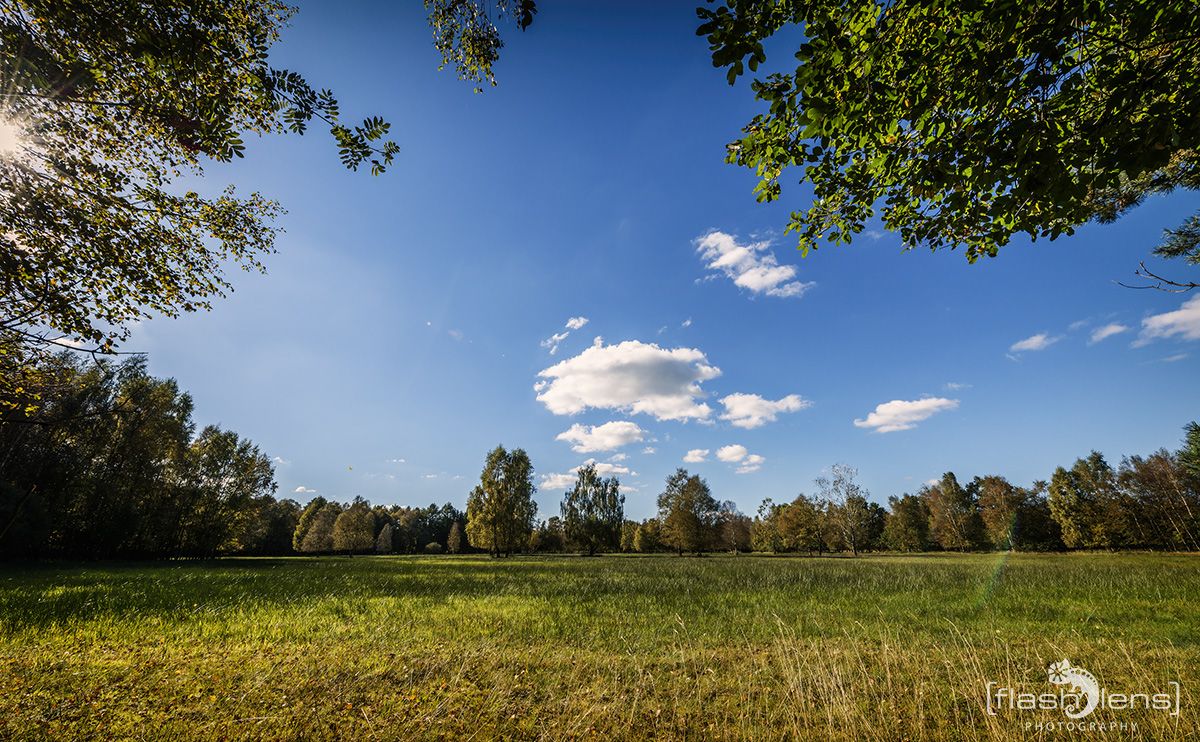 Pietzmoor 023