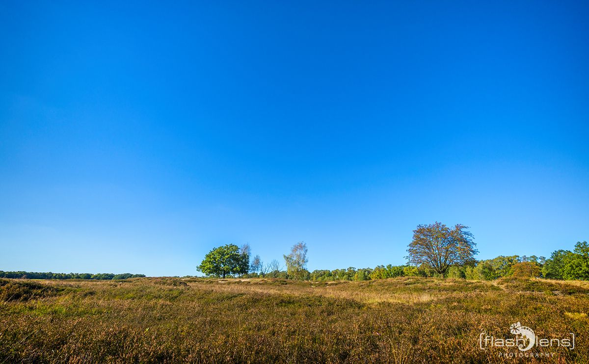 Pietzmoor 024