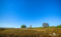 Pietzmoor 024