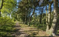 Pietzmoor 038
