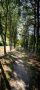 Pietzmoor 2019 001