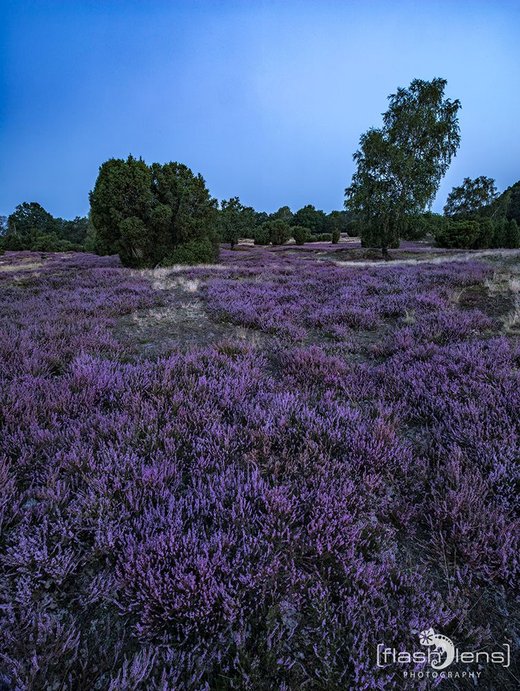 Wilsede 2019 004
