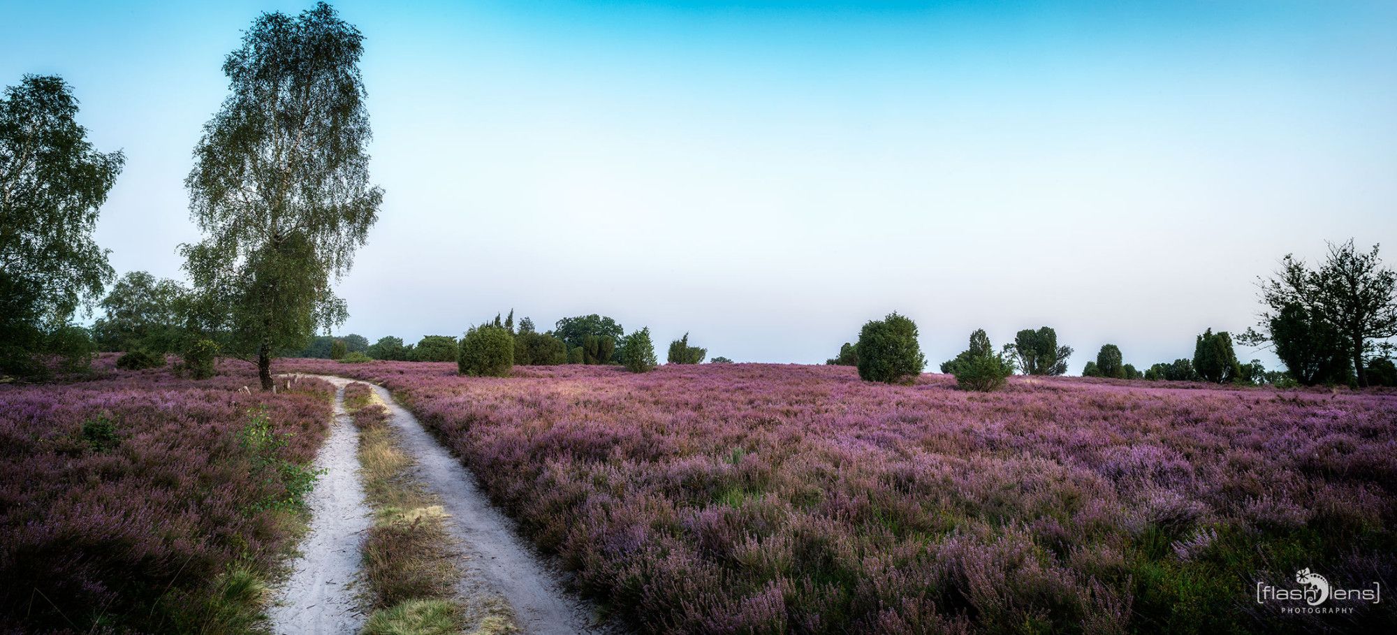 Wilsede 2019 008
