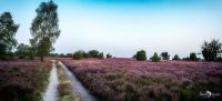 Wilsede 2019 008