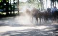 Wilsede 2019 023