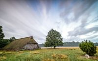 Wilseder Berg 004