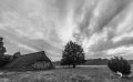 Wilseder Berg 005