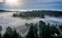Wilseder Berg 013