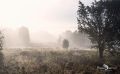 Wilseder Berg 015