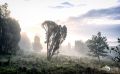 Wilseder Berg 016