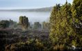 Wilseder Berg 020