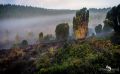 Wilseder Berg 021