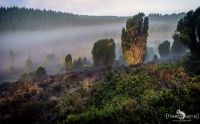 Wilseder Berg 021