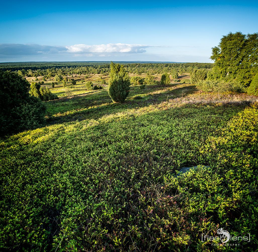 Wilseder Berg 027