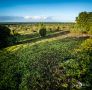 Wilseder Berg 027