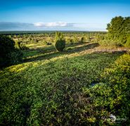 Wilseder Berg 027