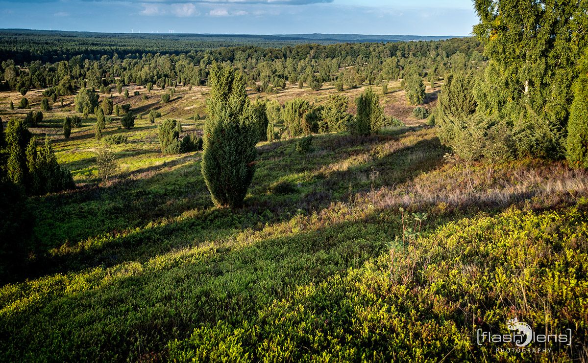 Wilseder Berg 028