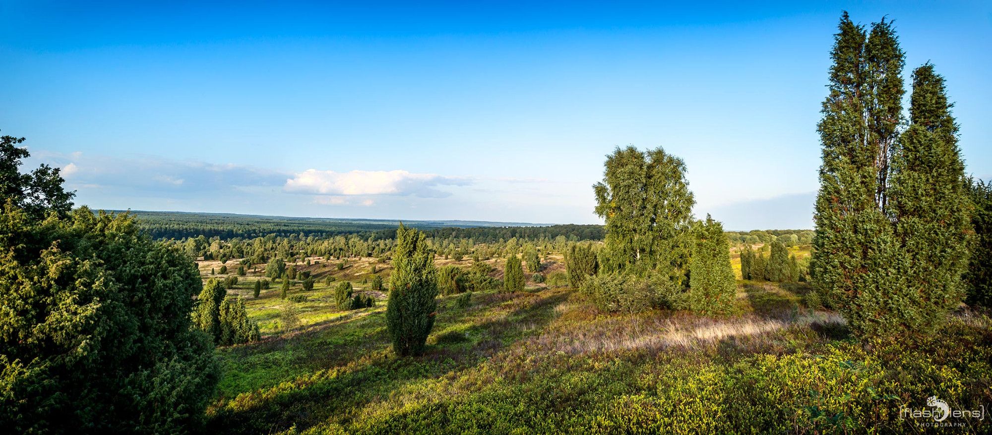 Wilseder Berg 030