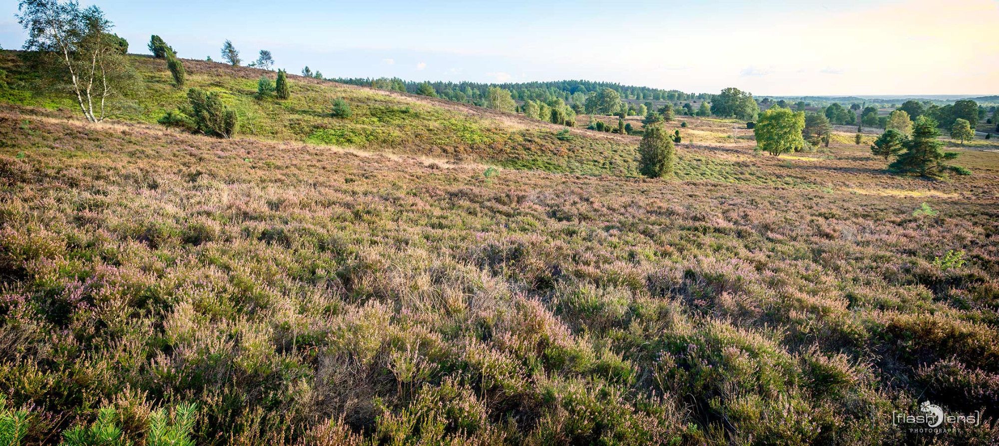 Wilseder Berg 031
