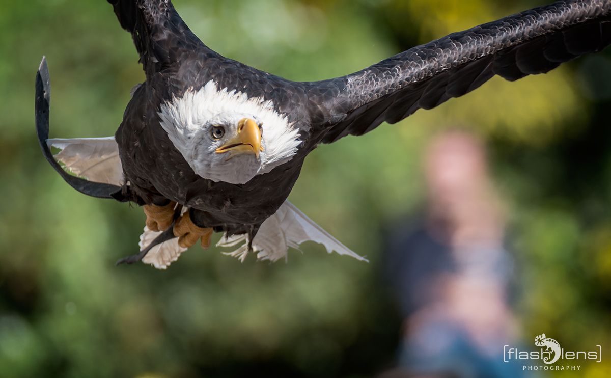 Weltvogelpark 063