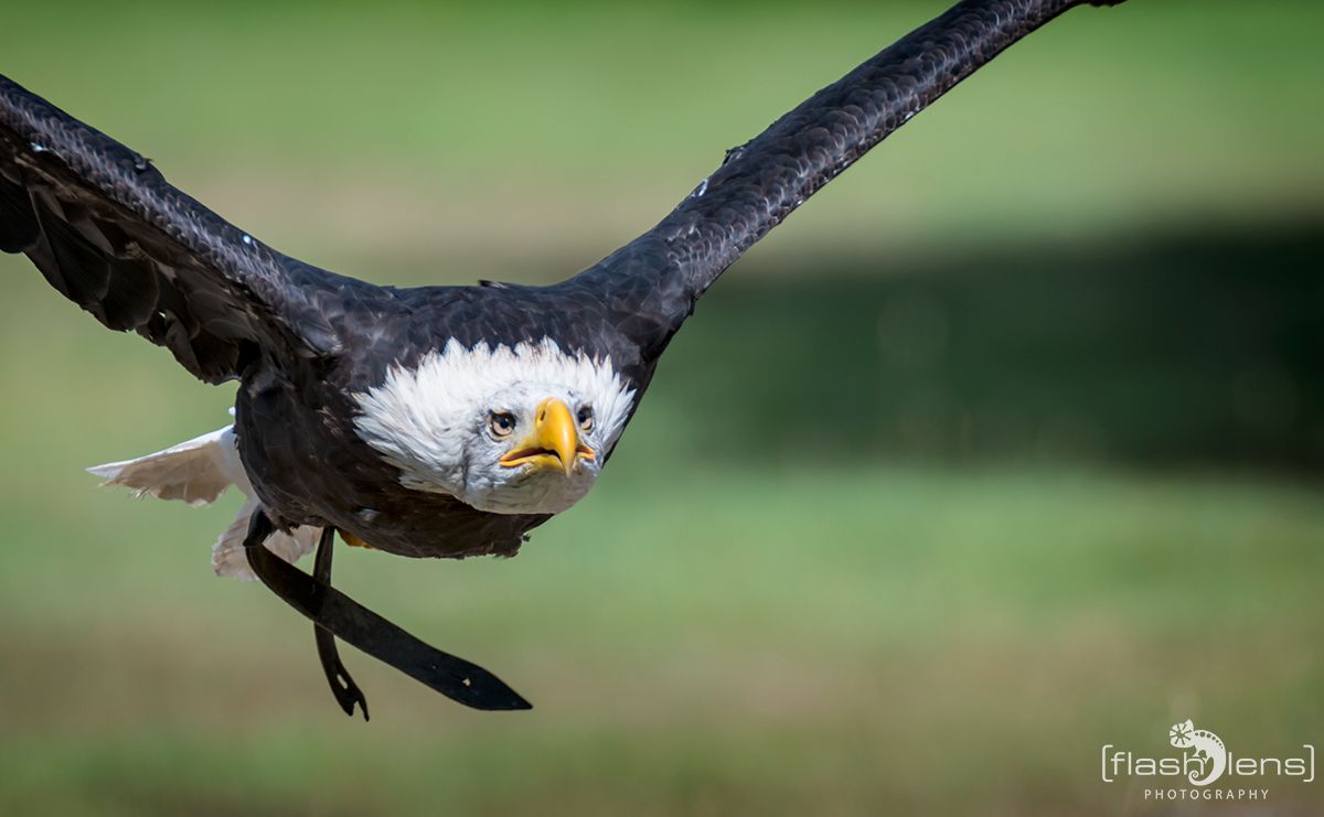 Weltvogelpark 064