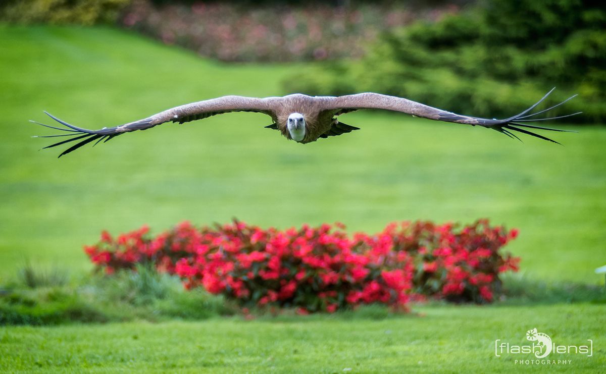 Weltvogelpark 071