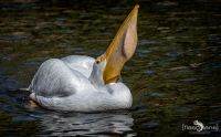 Weltvogelpark 003