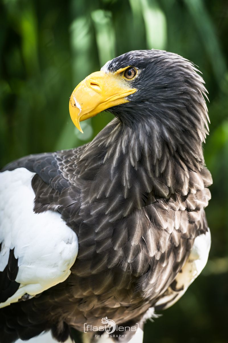 Weltvogelpark 022