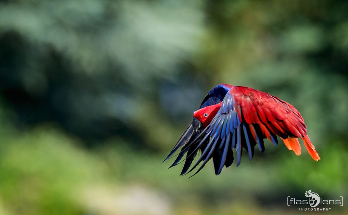 Weltvogelpark 054