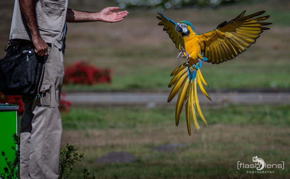 Weltvogelpark 058