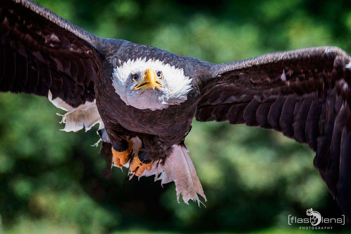 Weltvogelpark 062