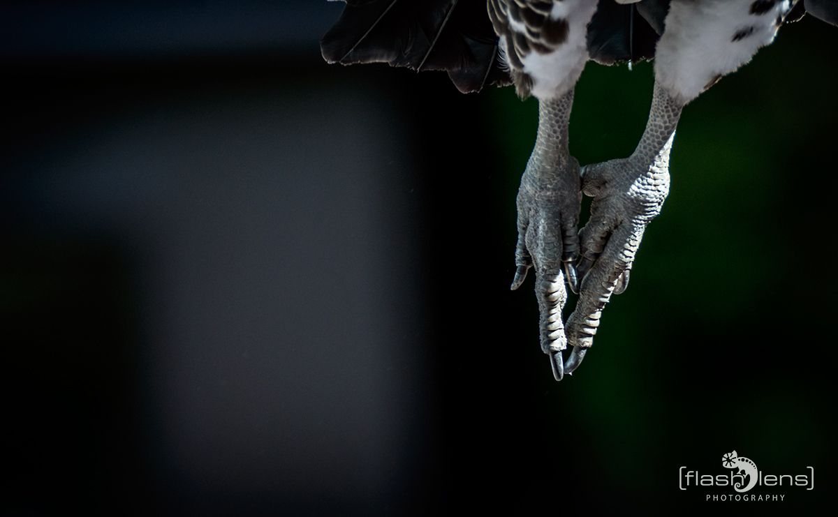 Weltvogelpark 069
