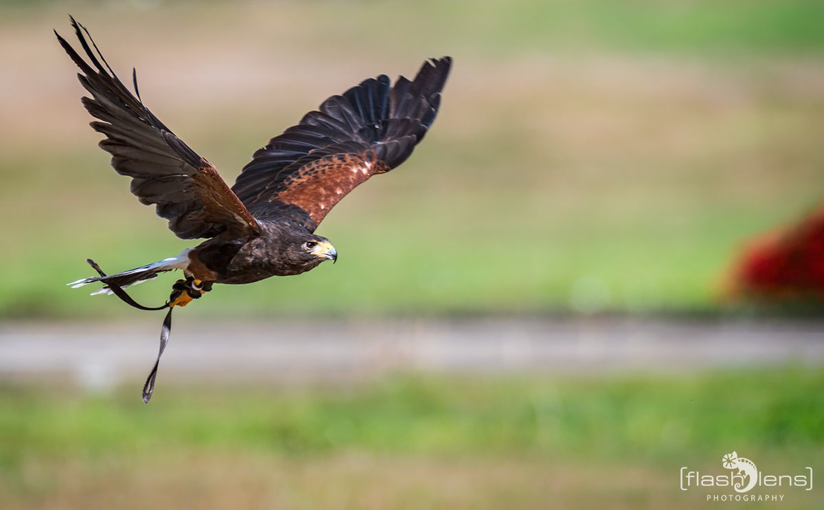 Weltvogelpark 090