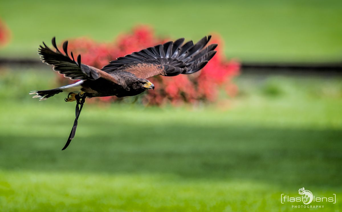 Weltvogelpark 095