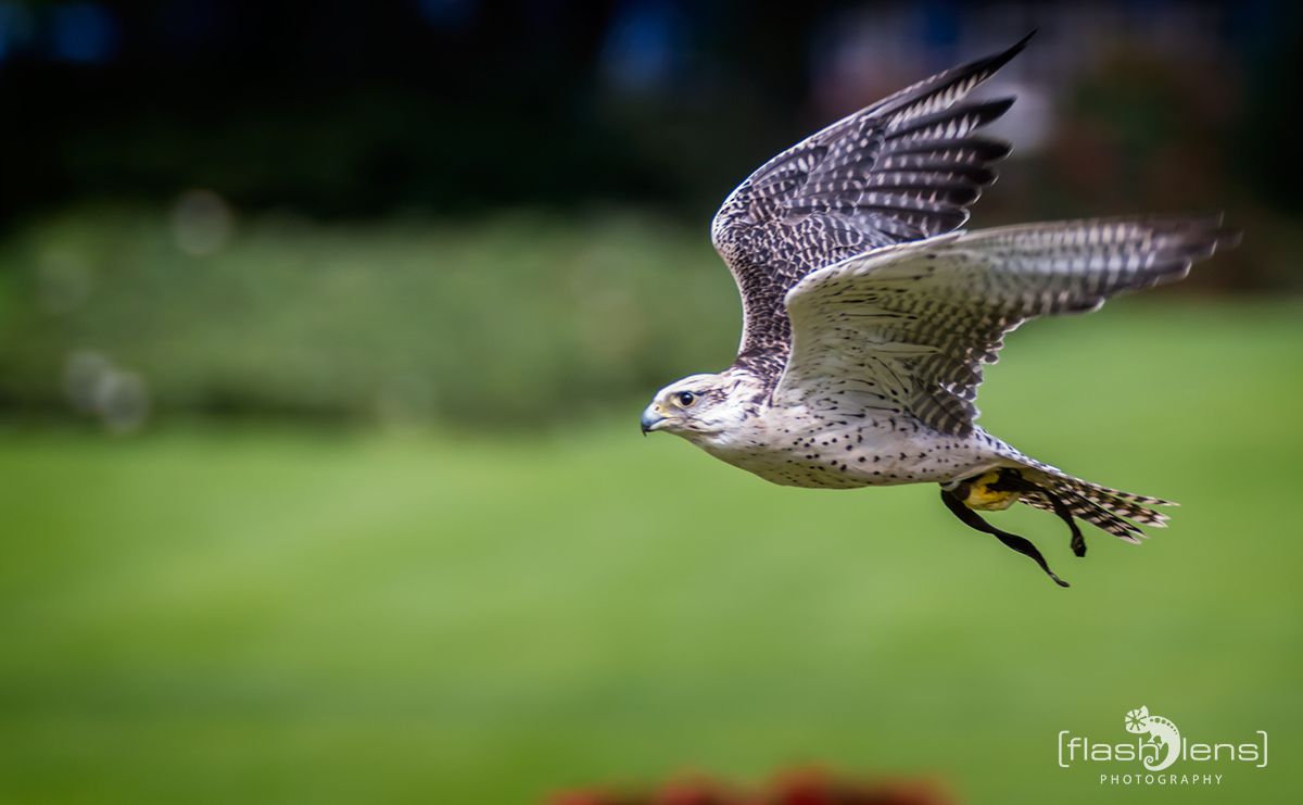 Weltvogelpark 096