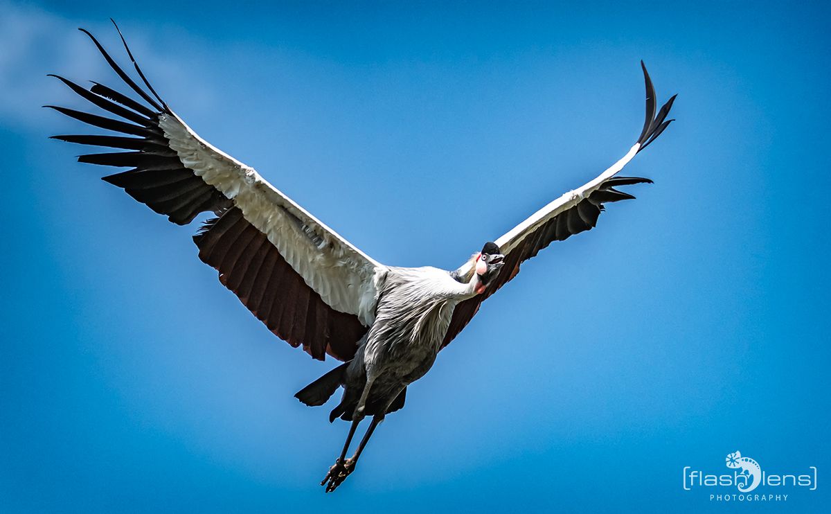 Weltvogelpark 102