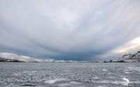 01 Reykavik und Umgebung 015