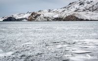 01 Reykavik und Umgebung 018
