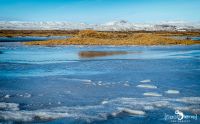 01 Reykavik und Umgebung 027