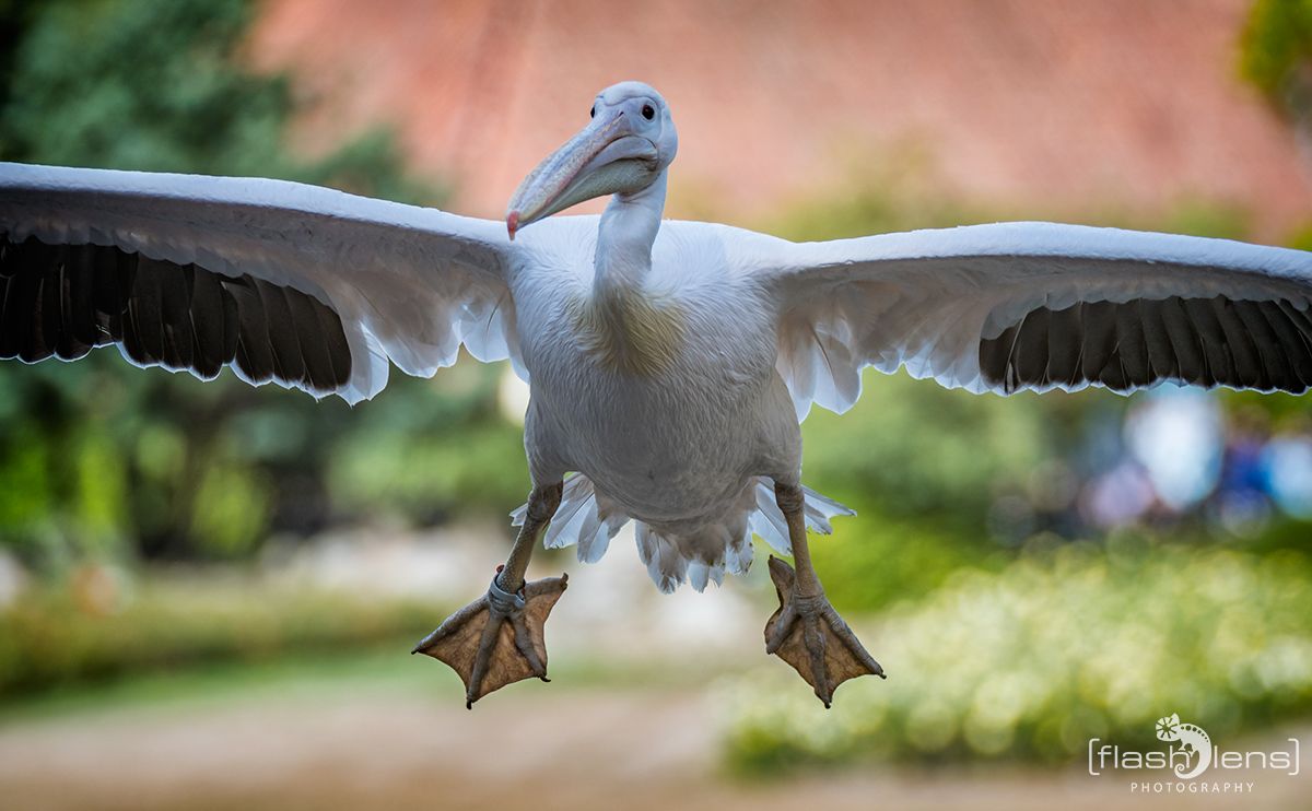 Weltvogelpark 080